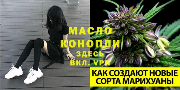 ешки Каменногорск