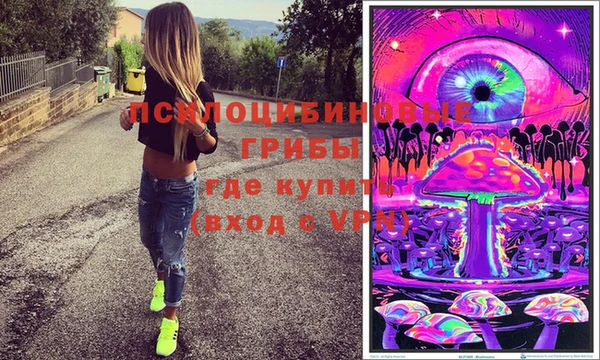 а пвп мука Каменка