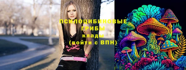 2c-b Каменск-Шахтинский