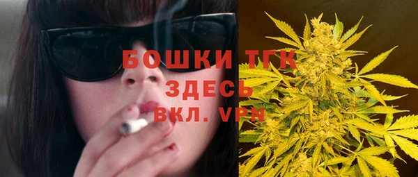 ешки Каменногорск