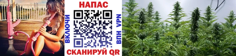 Купить  Новочеркасск  Марихуана White Widow 